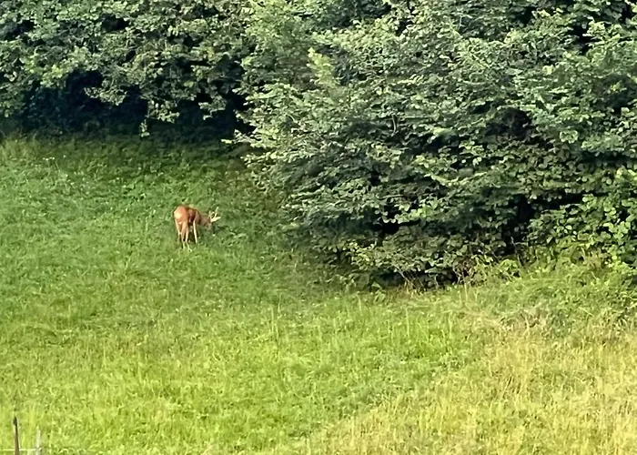 Francesca شقة بييفي دي كادوري
